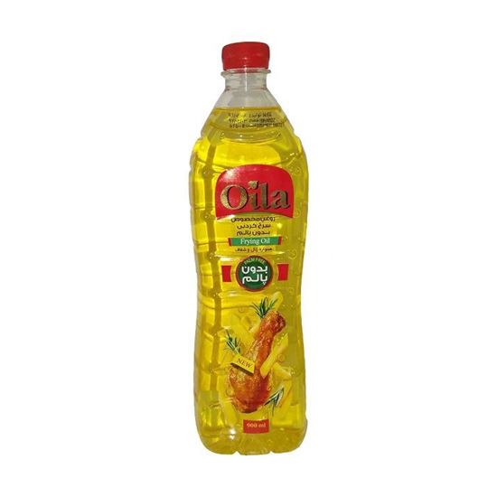 روغن سرخ کردنی بدون پالم اویلا , فروشگاه آنلاین فازینو