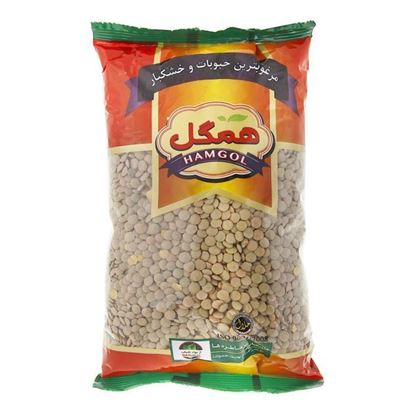 عدس درجه 1 همگل