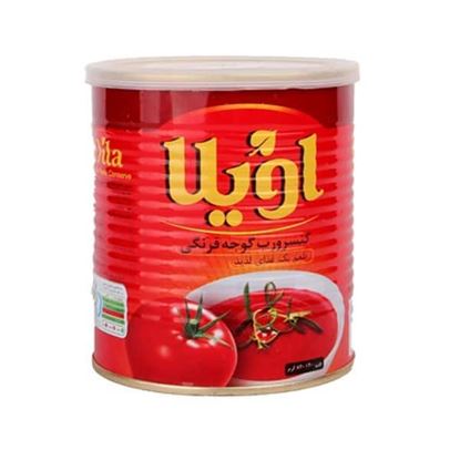رب گوجه فرنگی اویلا 800 گرم