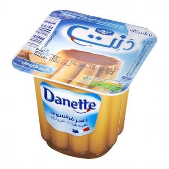 دسر کارامل دنت 110 گرم