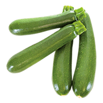 کدو سبز