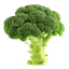 کلم بروکلی