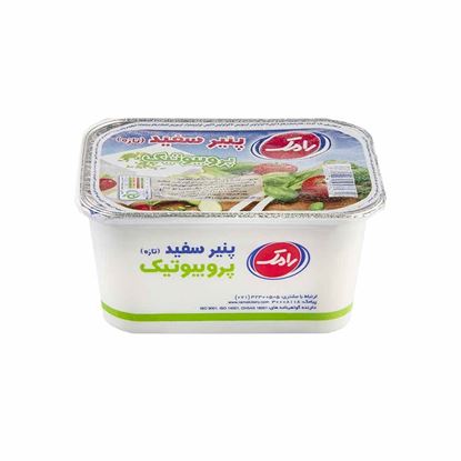 پنیر پروبیوتیک رامک 400 گرم