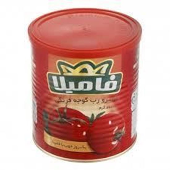 رب گوجه فرنگی فامیلا 800 گرم