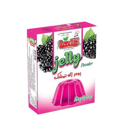 پودر ژله تمشک گلها 90 گرم