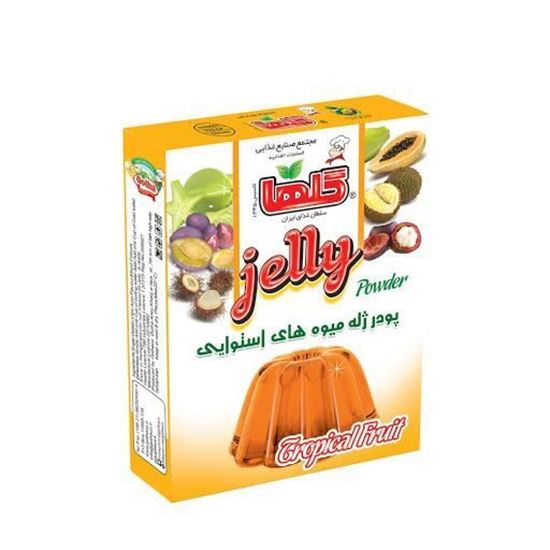 پودر ژله میوه های استوایی گلها 90 گرم