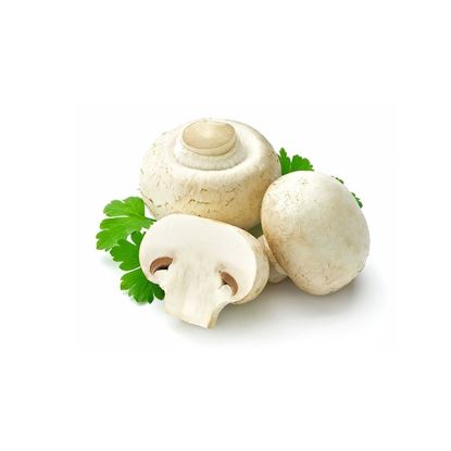 قارچ باز 1 کیلو 