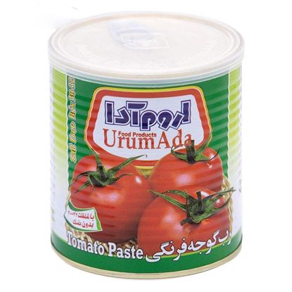رب گوجه فرنگی اروم آدا 800 گرم