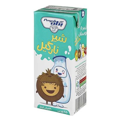 شیر نارگیل پگاه 200 سی سی