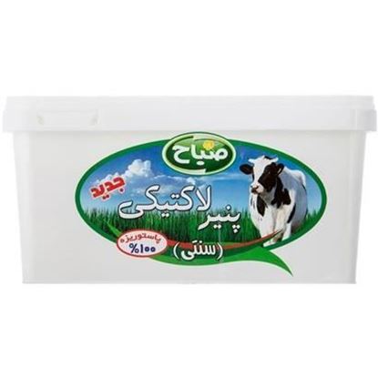 پنیر سفید لاکتیکی صباح 800 گرم