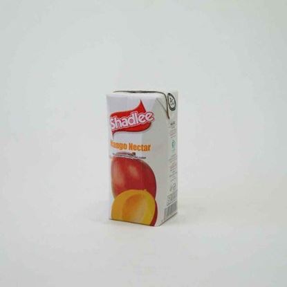 نکتار انبه شادلی 200 سی سی