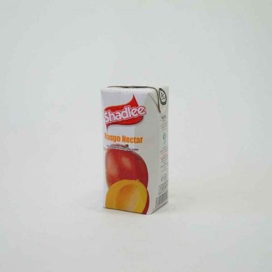 نکتار انبه شادلی 200 سی سی