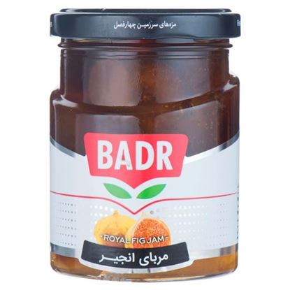 مربا انجیر بدر 300 گرم