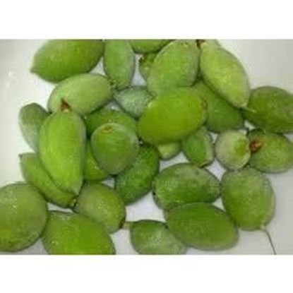 چاقاله بادام