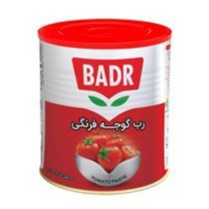 رب گوجه فرنگی آسان بازشو بدر 800 گرم